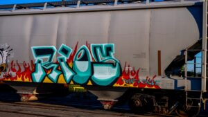 Photo scumpo