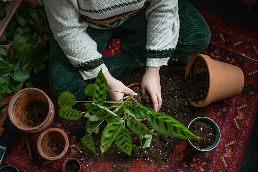 home and garden tips